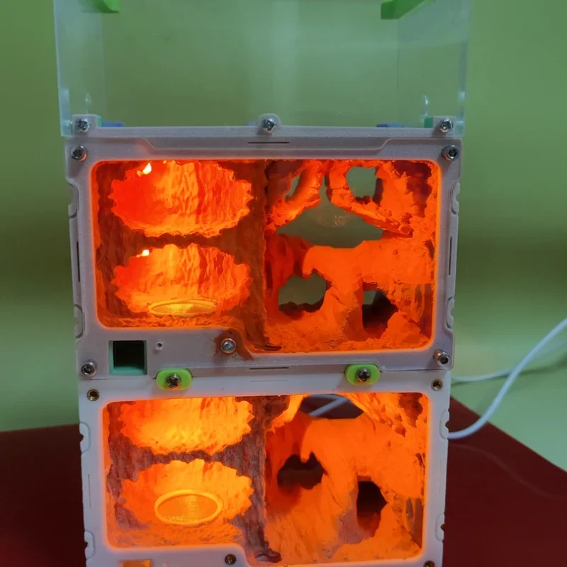 Light-Up Ant Ecosystem Kit – Watch & Study Live Ants in a Glowing Castle Habitat