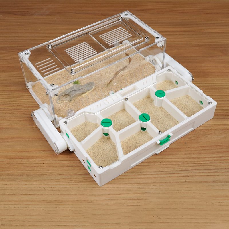 Foldable Acrylic Ant Farm with Pre-Built Landscape - Portable Terrarium for Easy Storage & Study