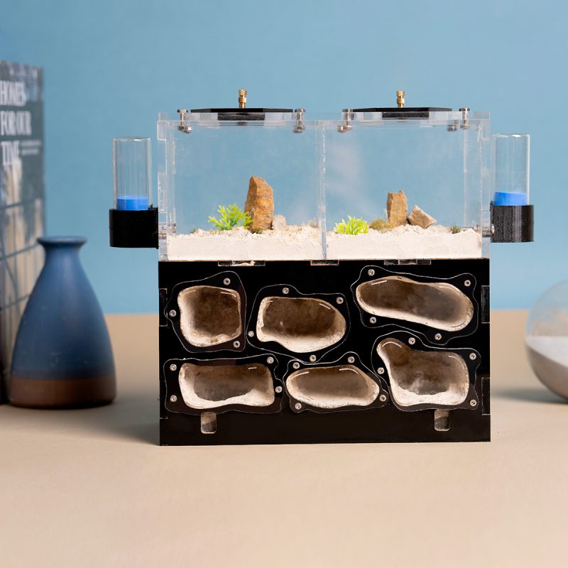 3D Thermostatic Ant Nest - Acrylic-Concrete Hybrid Formicarium for Carpenter/Harvester/Bullet Ants