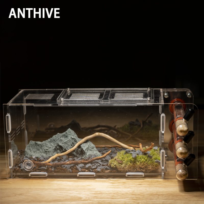 Large Acrylic Ant Farm Habitat - Educational Ecosystem Terrarium for Live Ants with Gel & Sand