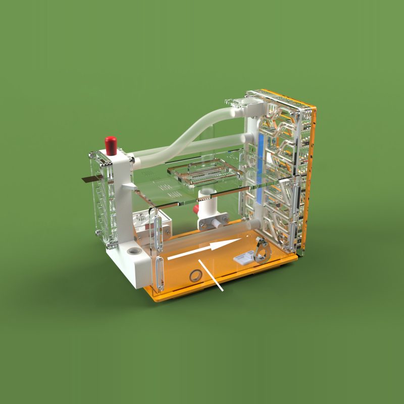 Acrylic Ant Castle with Staircase - Multi-Level Formicarium Habitat with Decorative Bridges & Tunnels