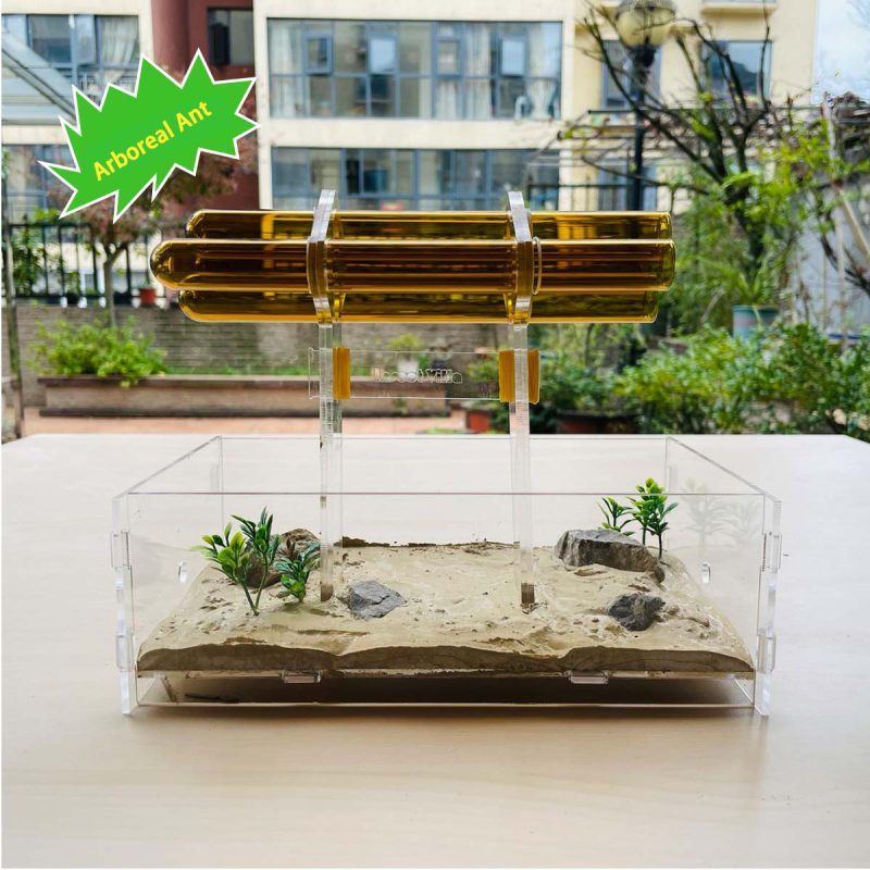 Arboreal Ant Nest for Weaver Ants - High-Clarity Acrylic Formicarium with Natural Landscape for Tree-Dwelling Species